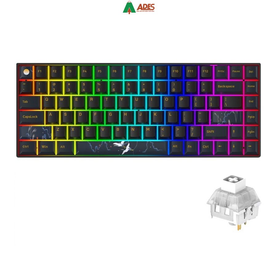 Ban Phim Co Newmen GM840 Pro co keycaps chat luong